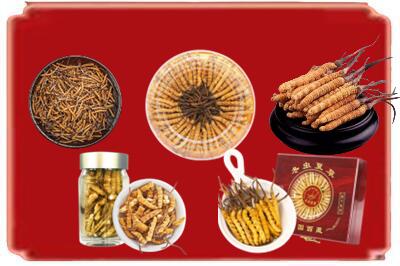唐山玉田县烟酒回收各种虫草.jpg